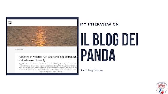 Interview by Rolling Pandas