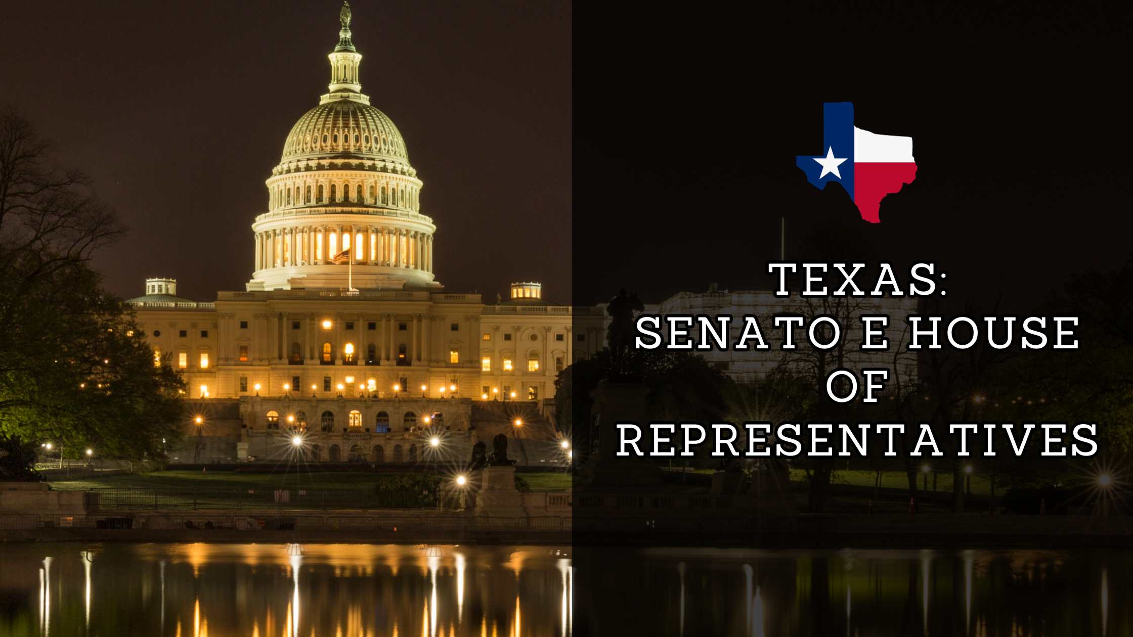 Texas: Senato e House of representative